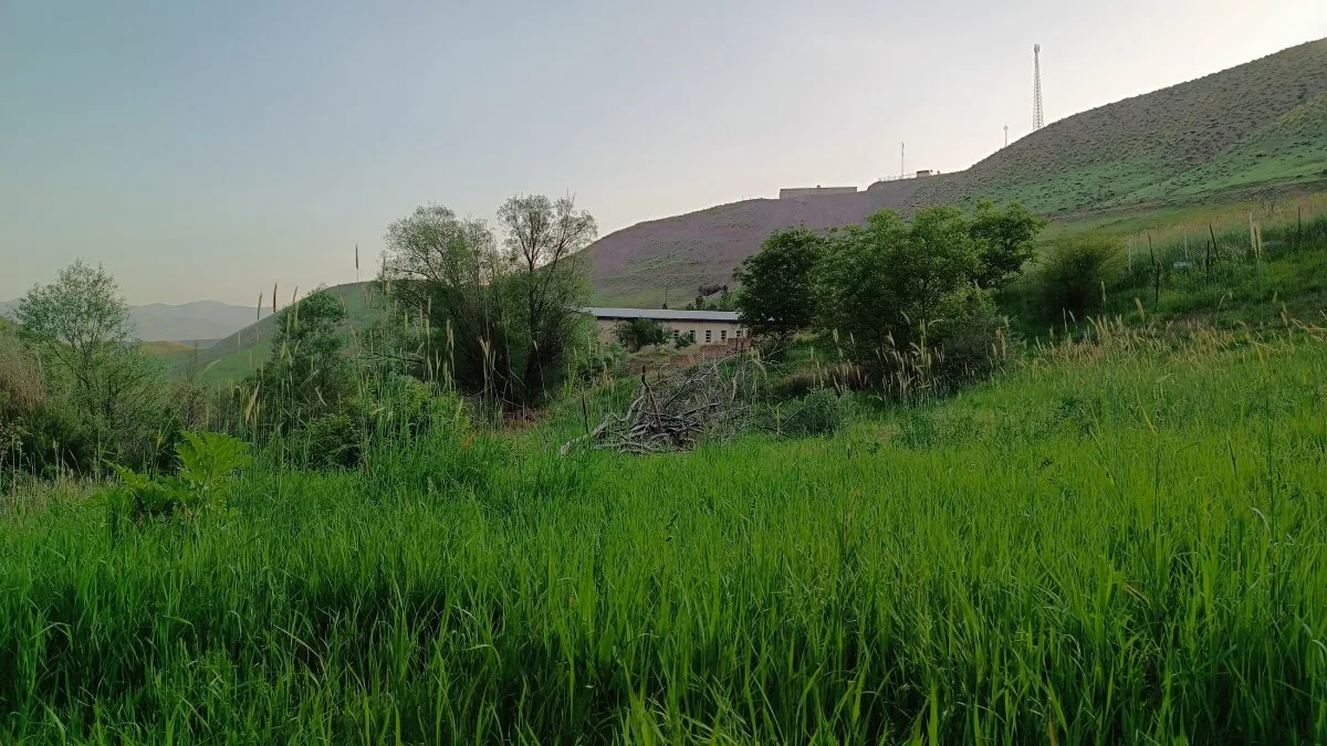 زمین ۱۰۰۰ متری باغ مناسب گلخانه‌