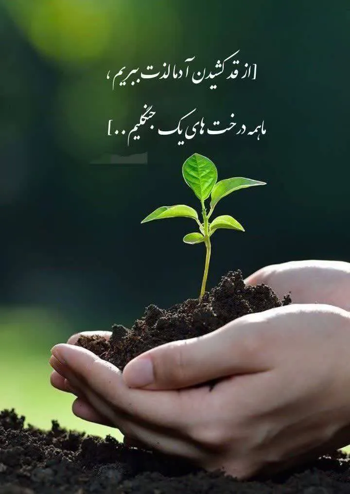 ترک اعتیاد بدون بستری بدون درد وخماری