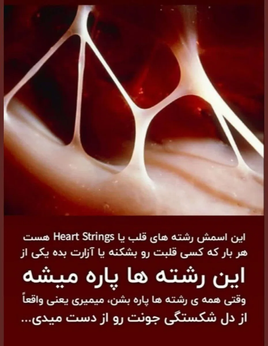آموزش زیست با کلیپ و انیمیشن